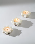 Lotus Glow | Set of 3 Dia