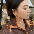 Link Earrings