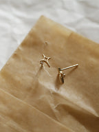 925 Silver Star Studded Earrings